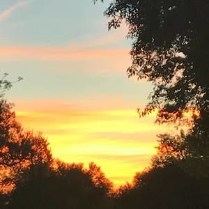 Meet your Posher, Dee